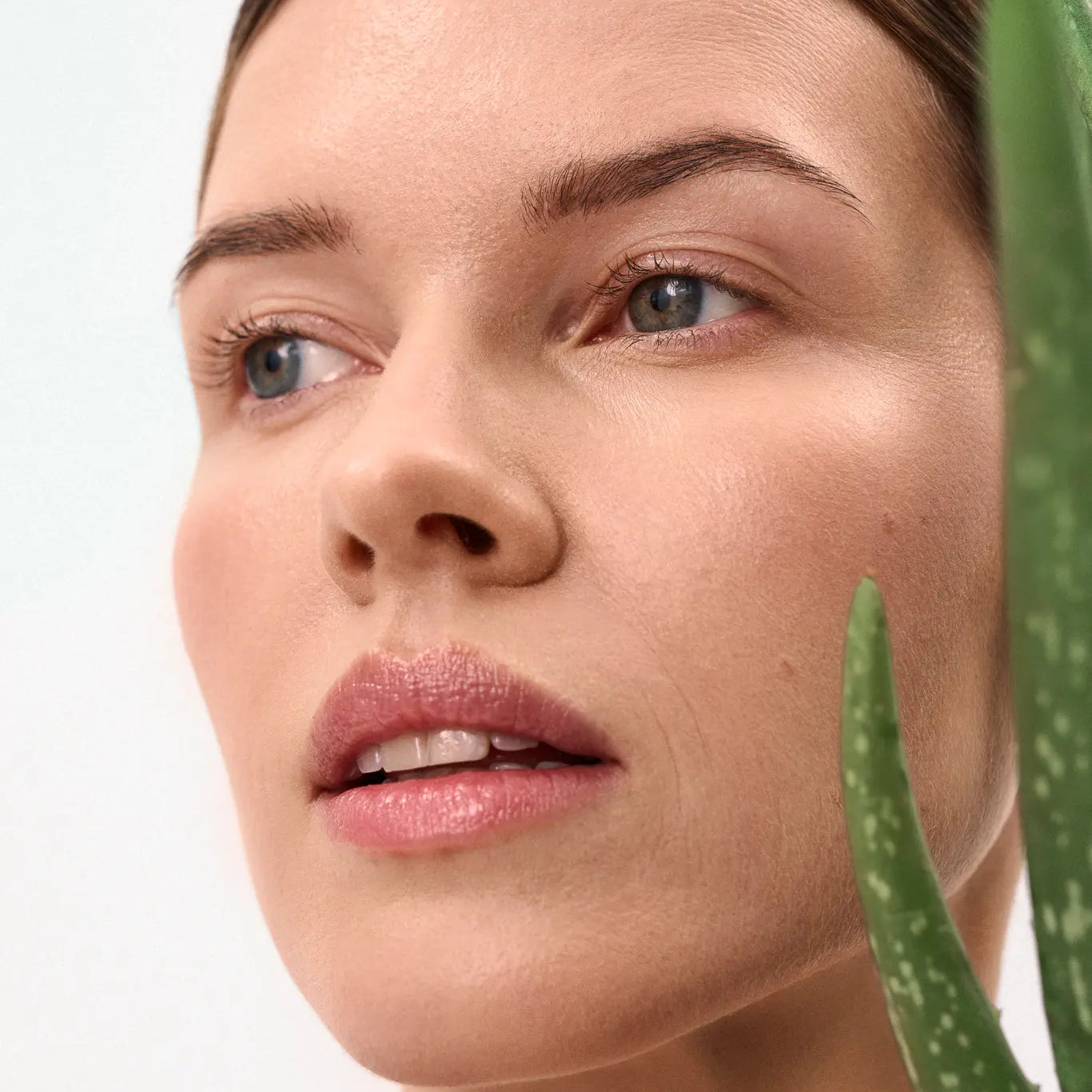 Hyaluronic Longevity Face Cream